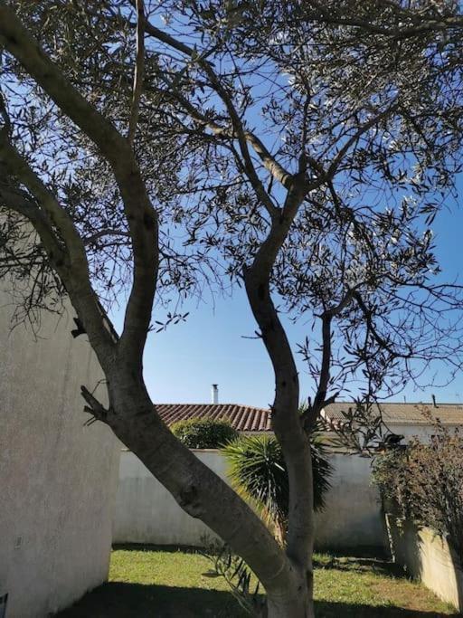 פו-סור-מר Belle Villa De 90M2 Au Calme Avec Jardin Et Parking A 10 Mn De La Mer En Voiture מראה חיצוני תמונה